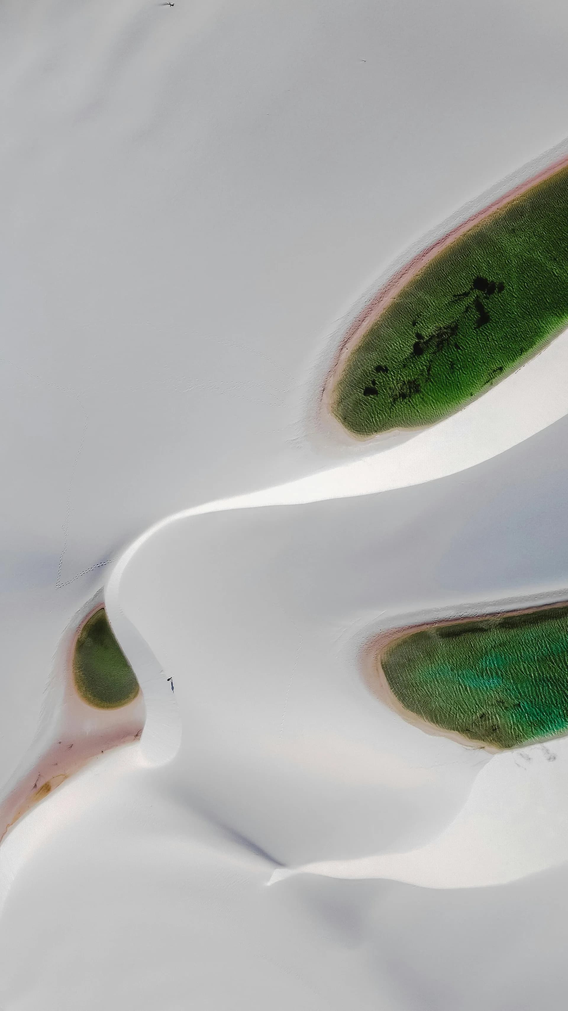 Lagoa cristalina vista de perto nos Lençóis Maranhenses